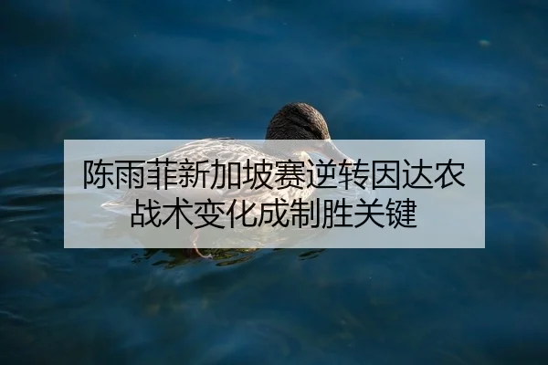 陈雨菲新加坡赛逆转因达农 战术变化成制胜关键